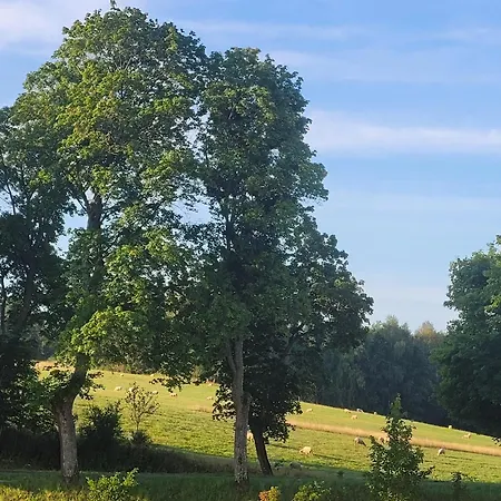 Dzika Warmia- Domek Na Warmii Z Balia I Kominkiem Holiday home