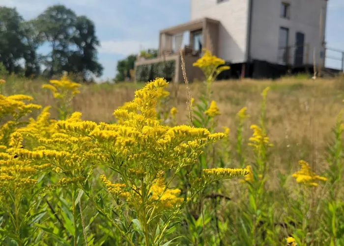 Dzika Warmia- Domek Na Warmii Z Balia I Kominkiem * Glebisko