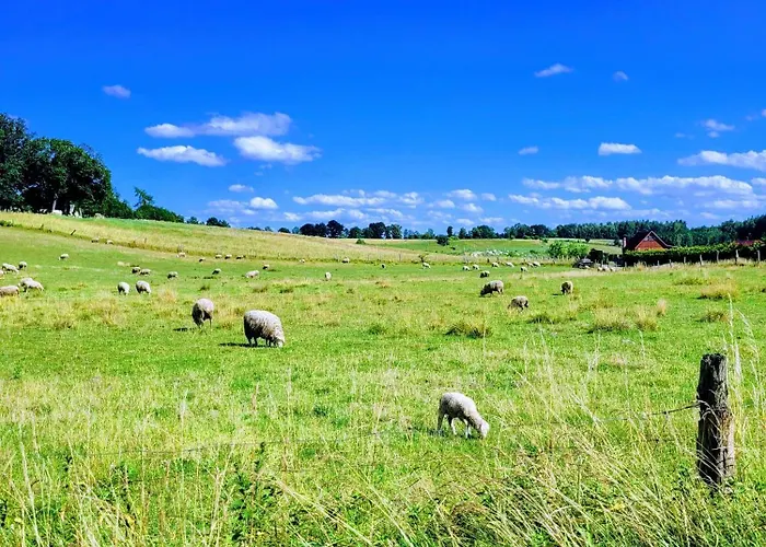 Dzika Warmia- Domek Na Warmii Z Balia I Kominkiem Glebisko
